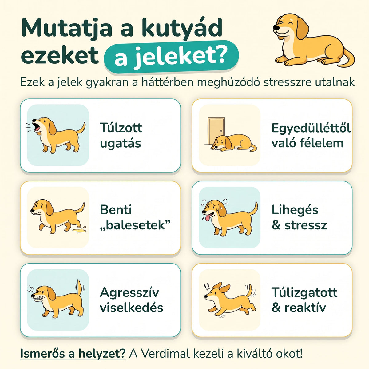 Verdimal - Kutya Stresszoldó Párologtató