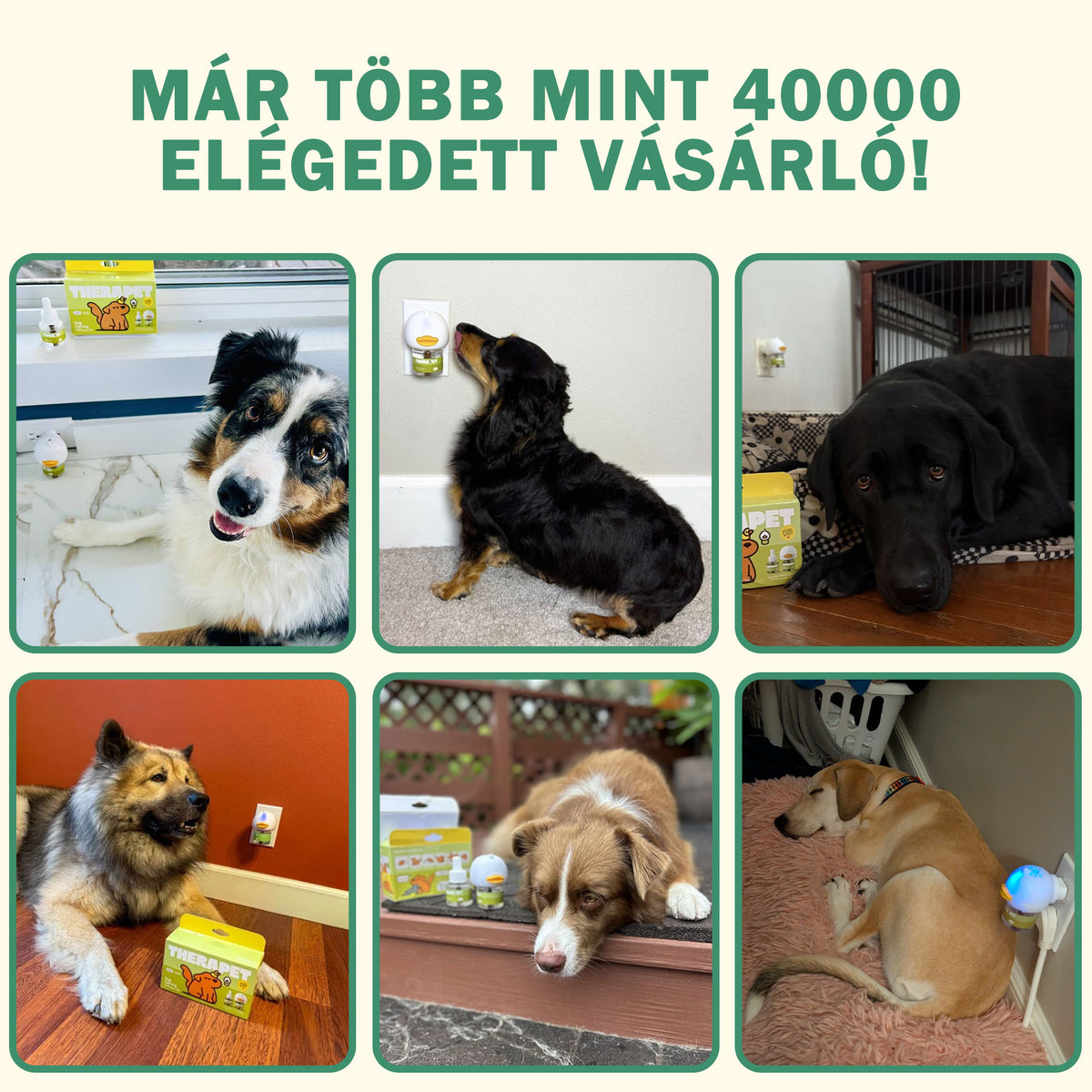 Verdimal - Kutya Stresszoldó Párologtató